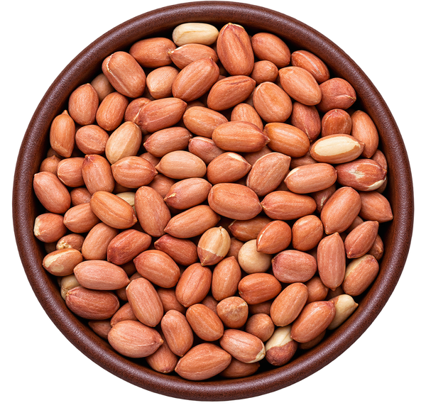 Groundnuts
